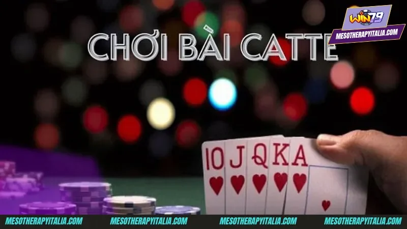 Những lưu ý quan trọng không thể bỏ qua về trò chơi bài catte