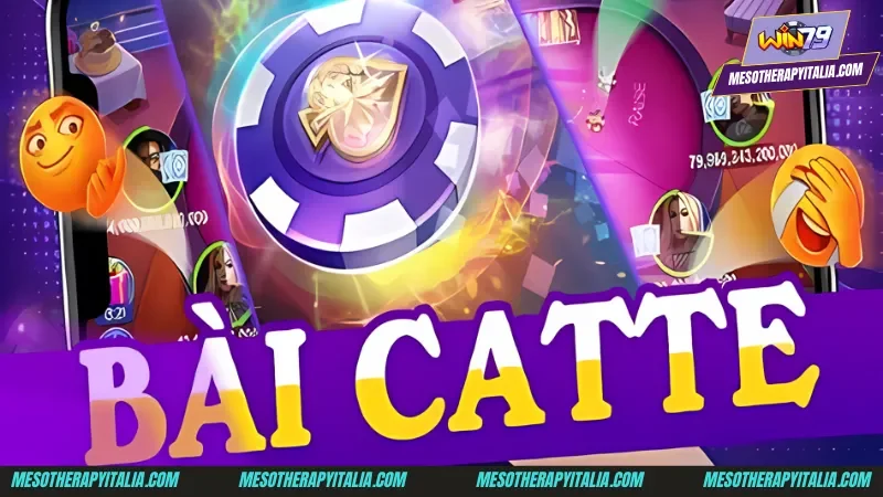 Tổng quan những thông tin không thể bỏ qua về catte